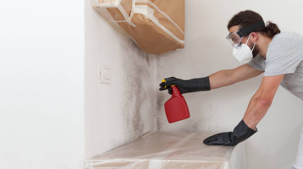 Professional Attic Mold Removal technician working in McAlisterville, PA