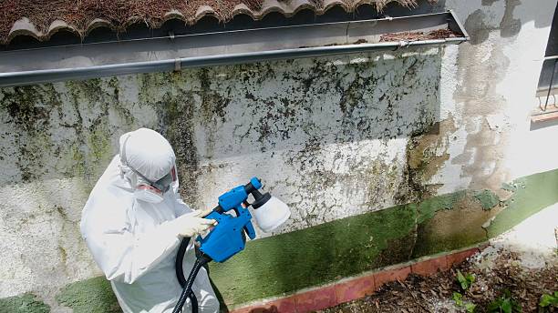 Top rated local Attic Mold Removal specialists in McAlisterville, PA